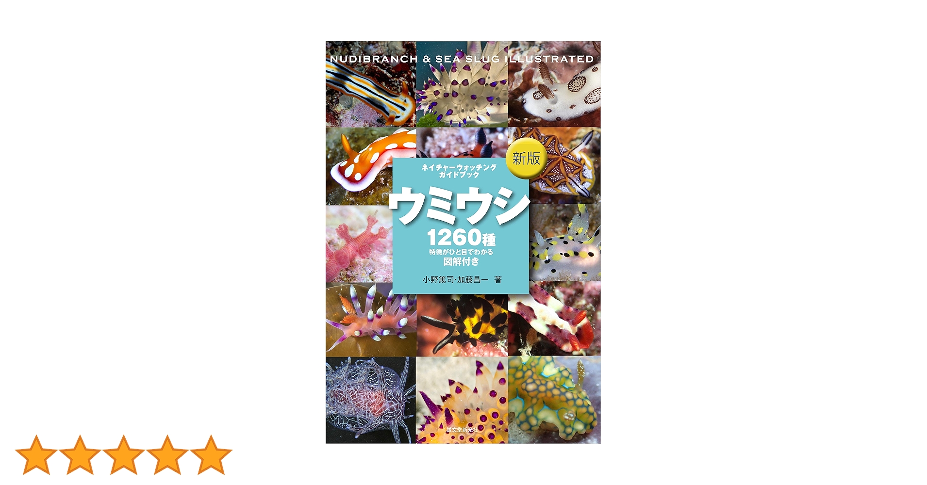 Amazon.co.jp: 新版 ウミウシ (ネイチャーウォッチングガイド